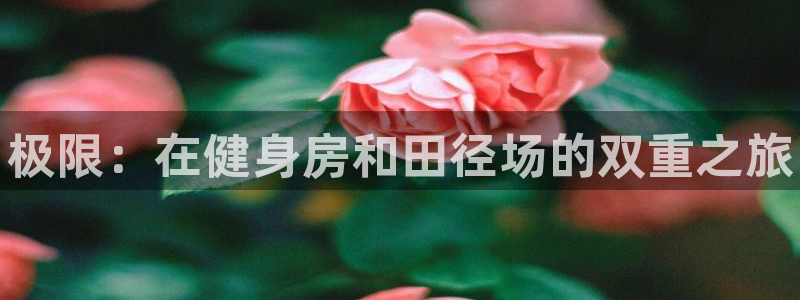 MK体育官方正版app集团logo：极限：在健身房和