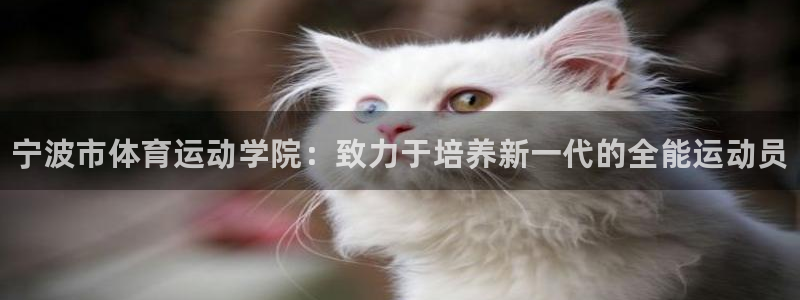 MK体育官网下载招商电话号码查询是多少：宁波市体育运