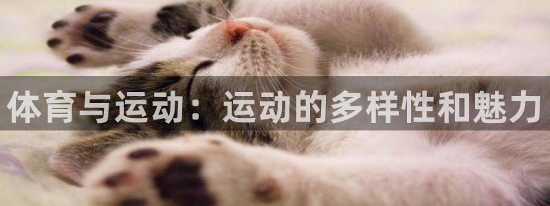 MK体育官网下载娱乐：体育与运动：运动的多样性和魅力