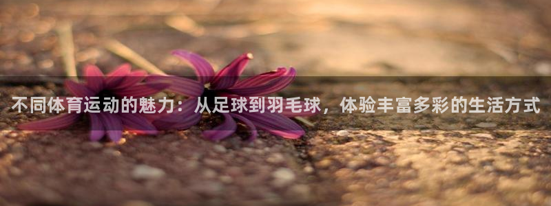 MK体育官网下载招商电话号码查询：不同体育运动的魅力