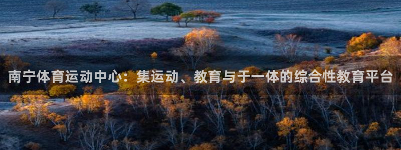 MK体育官方正版app集团官网网址：南宁体育运动中心