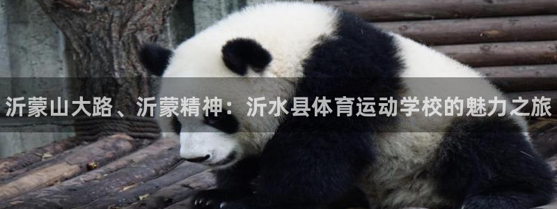 海南MK体育官网下载发展怎么样：沂蒙山大路、沂蒙精神