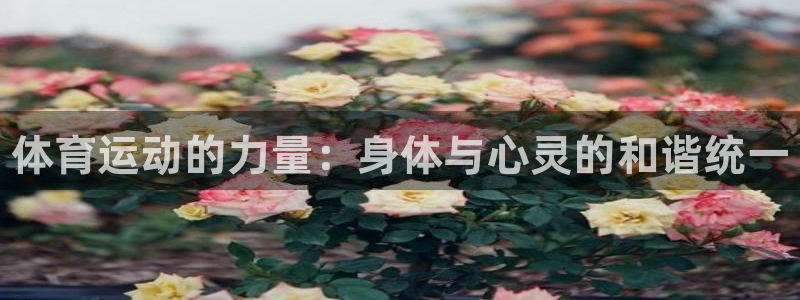 MK体育官方正版app集团logo：体育运动的力量：