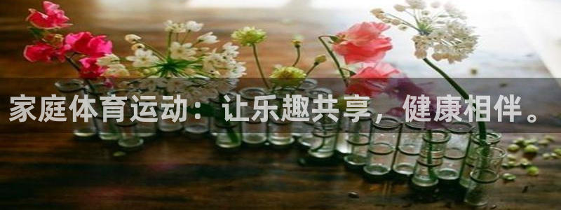 MK体育官方正版app娱乐是那个系列的台子：家庭体育