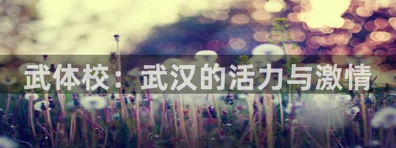 海南MK体育官网下载发展怎么样：武体校：武汉的活力与
