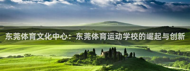 MK体育官方正版app代理：东莞体育文化中心：东莞体