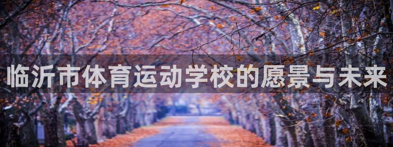 MK体育官方正版app娱乐首页网站大全：临沂市体育运动学校的