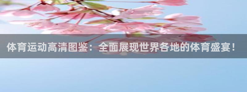 MK体育官方正版app娱乐