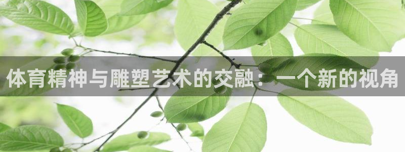 MK体育官网下载招商电话