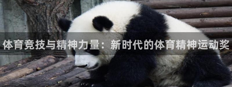 MK体育官网下载平台注册：体育竞技与精神力量：新时代的体育精