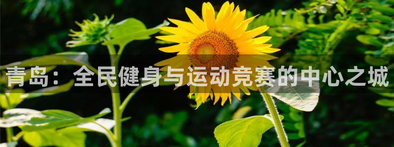 MK体育官网下载平台注册要钱吗是真的吗：青岛：全民健身与运动