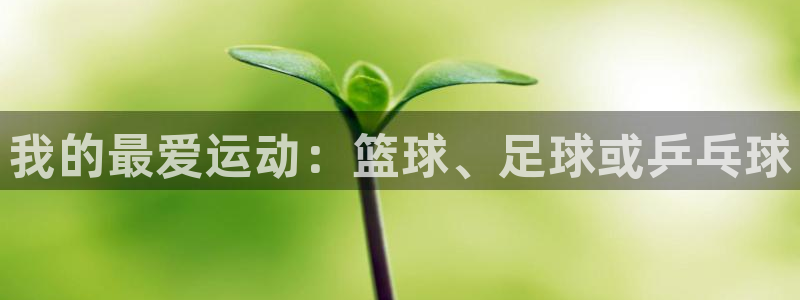 MK体育官网下载平台APP：我的最爱运动：篮球、足球或乒乓球