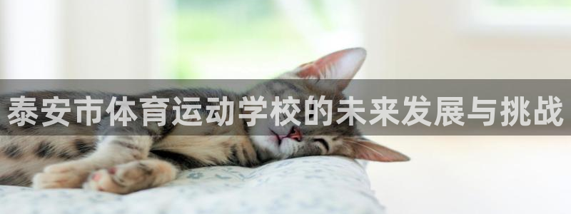 海南MK体育官网下载发展怎么样