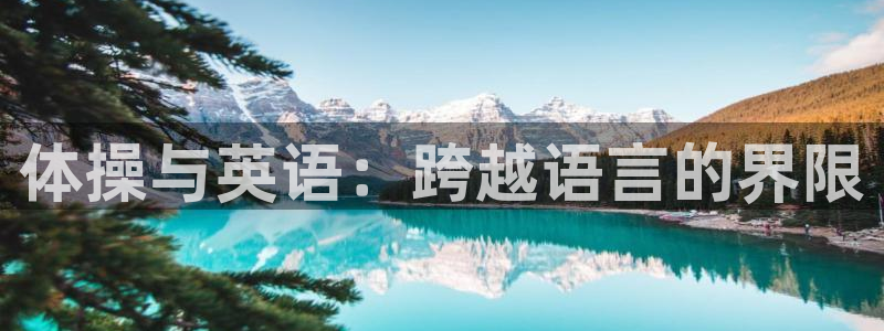 MK体育官方正版app集团官网网址：体操与英语：跨越语言的界